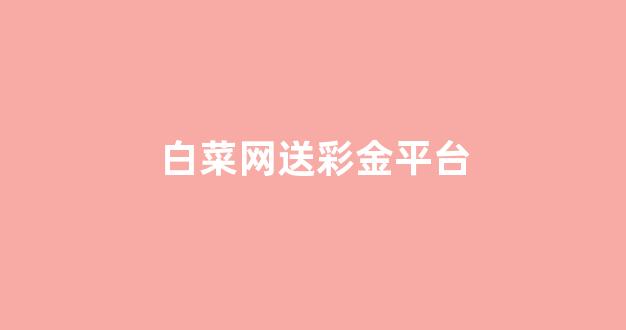 十大白菜软件
