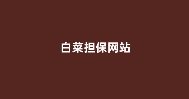 白菜公司排名